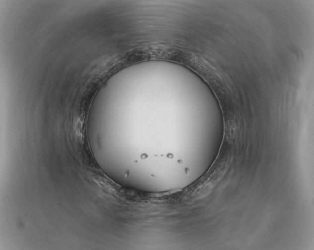 X0000112891010200909041657