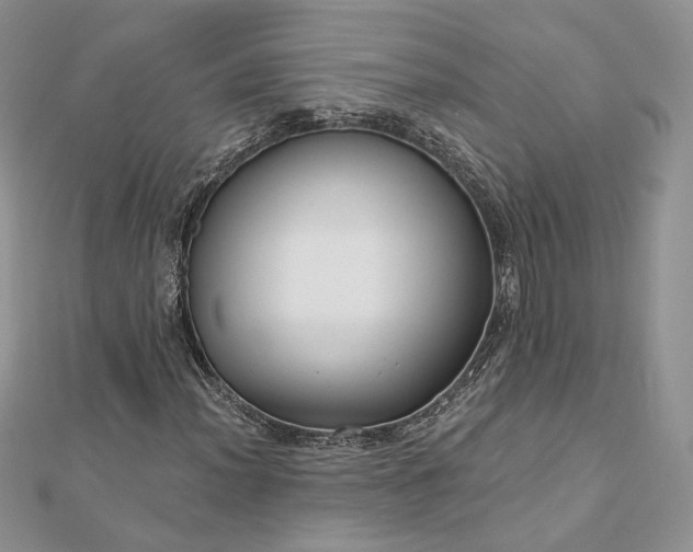 X0000112891012200909041657