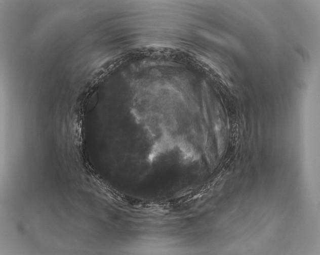 X0000112891013200909041657