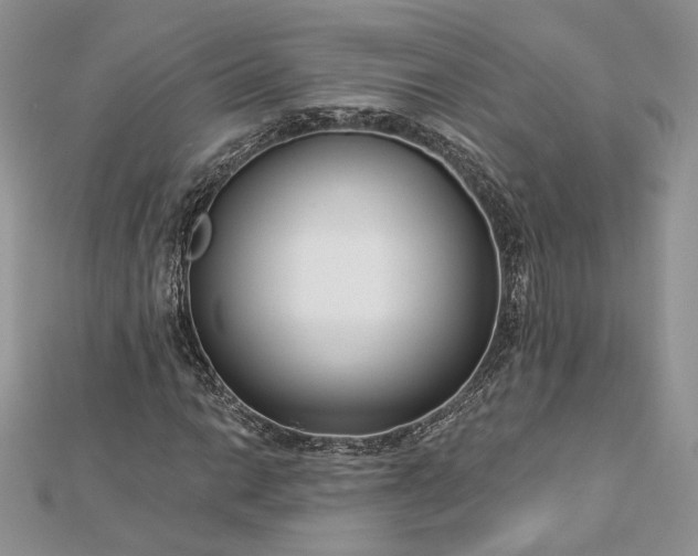 X0000112891014200909041657