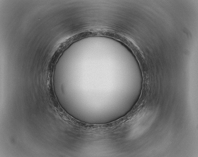 X0000112891016200909041657