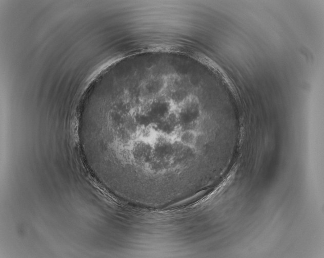X0000112891019200909041657