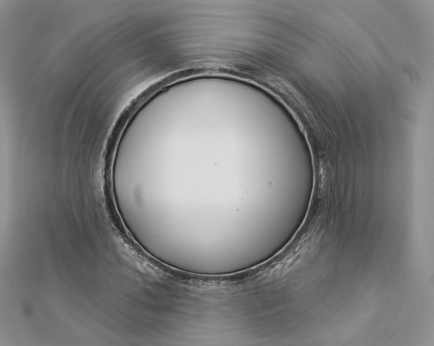 X0000112891020200909041657