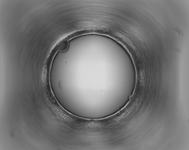 X0000112891021200909041657