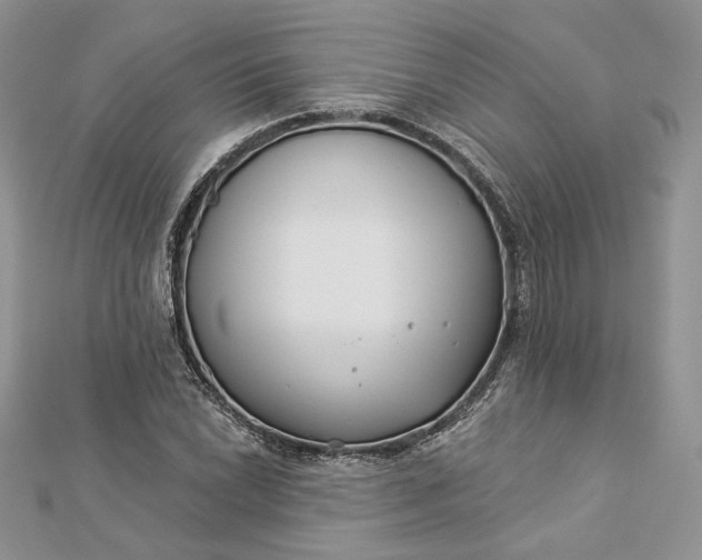 X0000112891022200909041657