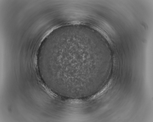 X0000112891023200909041657