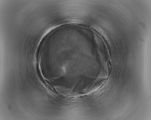 X0000112891024200909041657