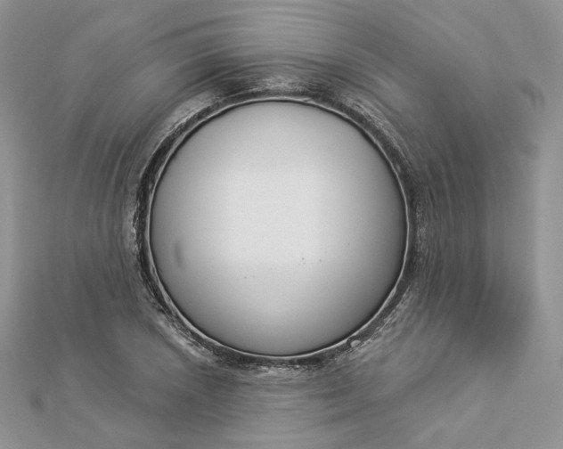 X0000112891026200909041657