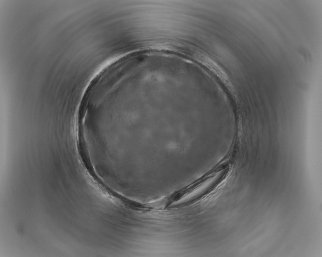 X0000112891028200909041657