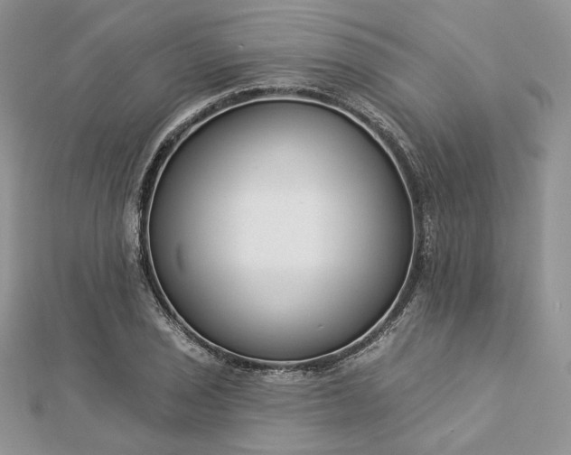 X0000112891029200909041657