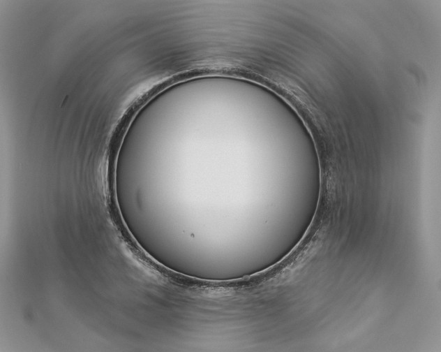 X0000112891030200909041657
