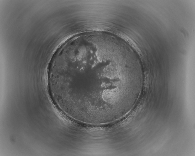 X0000112891031200909041657
