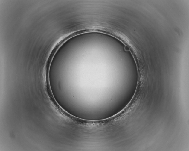 X0000112891032200909041657