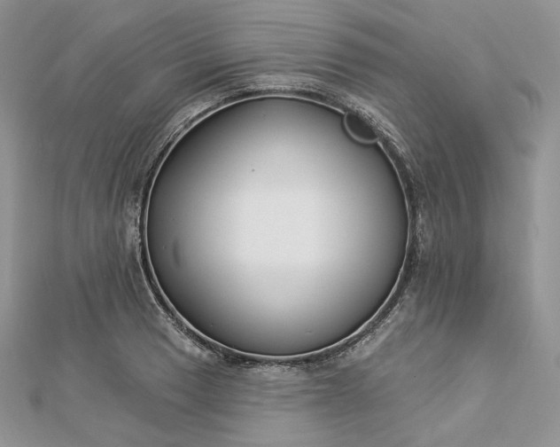 X0000112891033200909041657