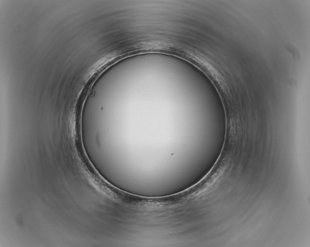 X0000112891034200909041657