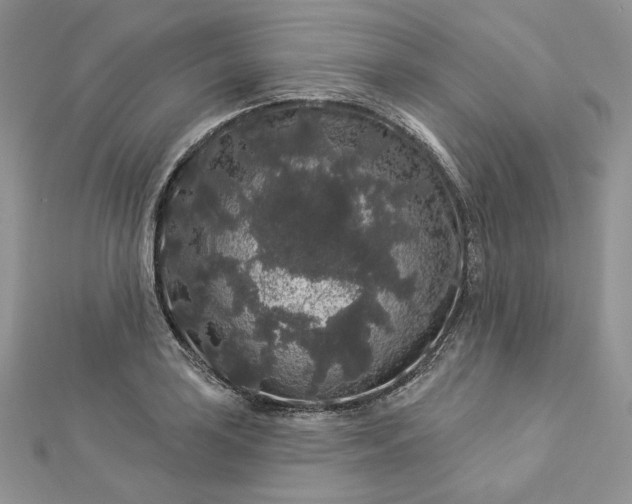 X0000112891035200909041658
