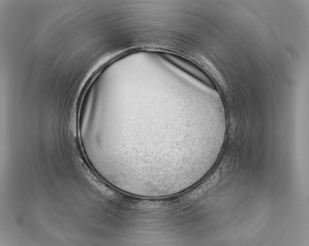 X0000112891036200909041658