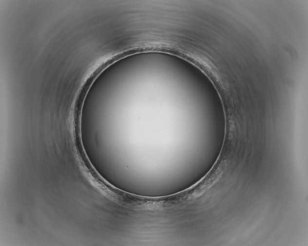 X0000112891038200909041658