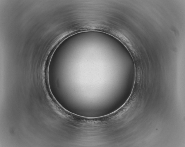 X0000112891039200909041658