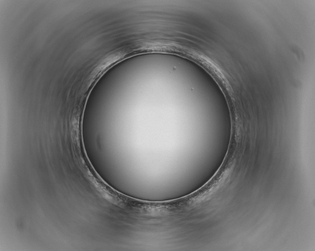 X0000112891041200909041658