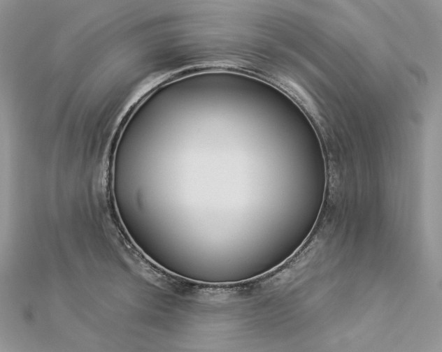 X0000112891044200909041658