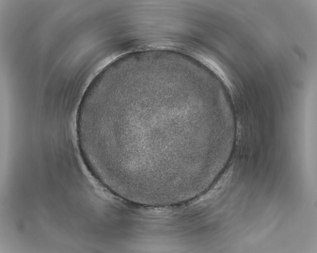 X0000112891047200909041658