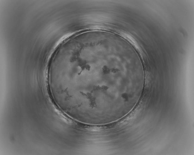 X0000112891048200909041658