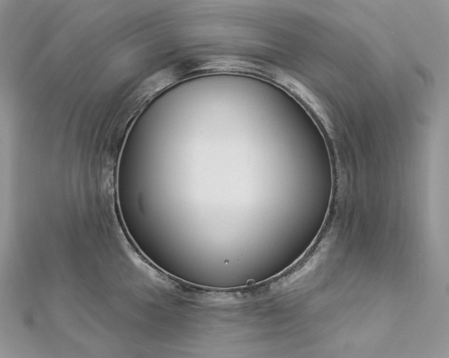 X0000112891049200909041658