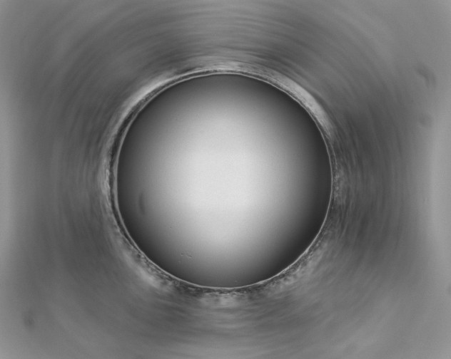 X0000112891051200909041658