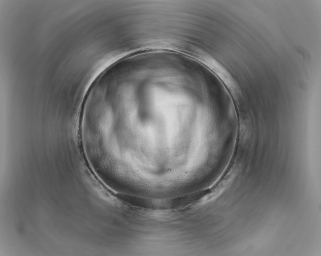 X0000112891052200909041658