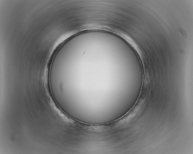 X0000112891053200909041658