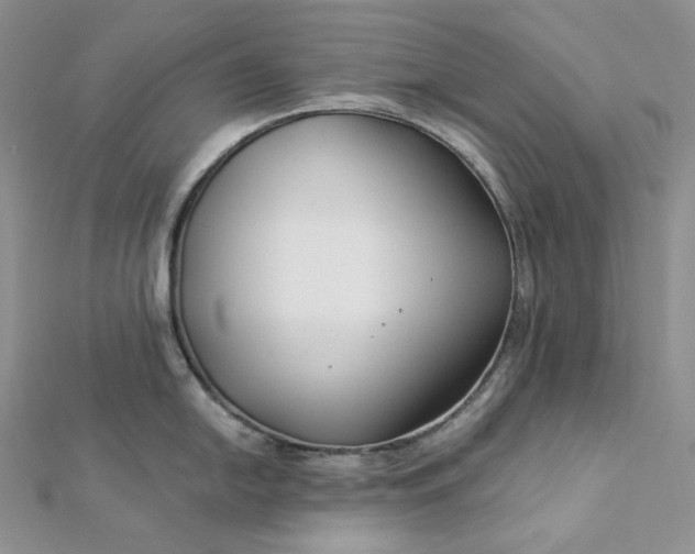 X0000112891054200909041658