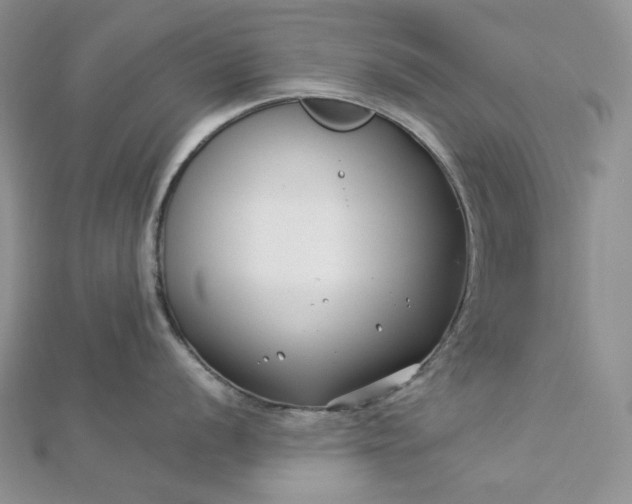 X0000112891056200909041658
