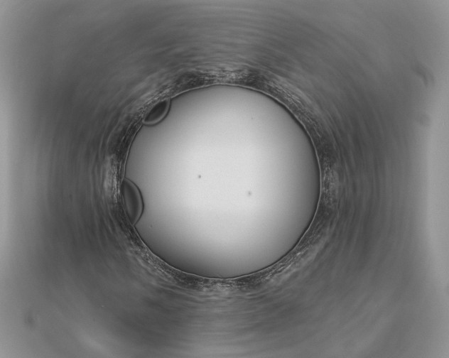 X0000112891058200909041657