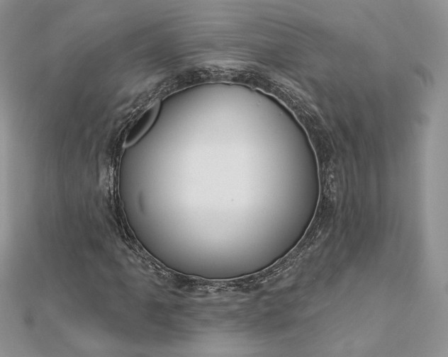 X0000112891061200909041657