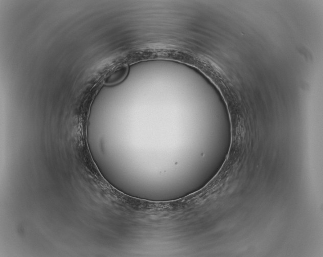 X0000112891062200909041657