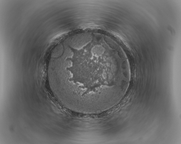 X0000112891063200909041657