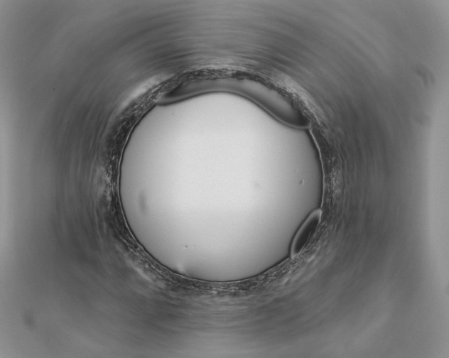 X0000112891064200909041657
