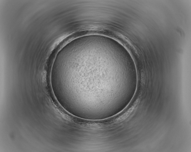 X0000112891066200909041657