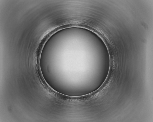 X0000112891070200909041657