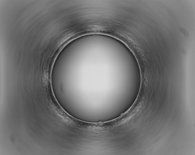 X0000112891073200909041657