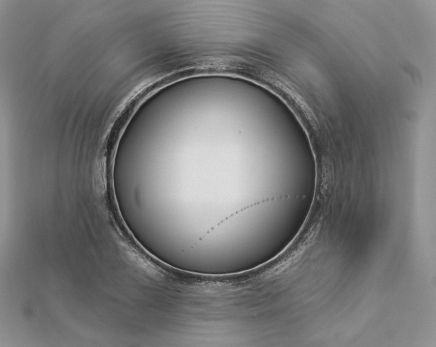X0000112891075200909041657