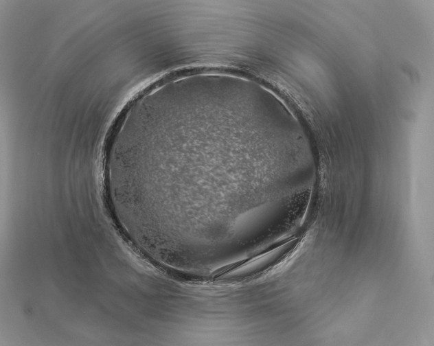 X0000112891077200909041657