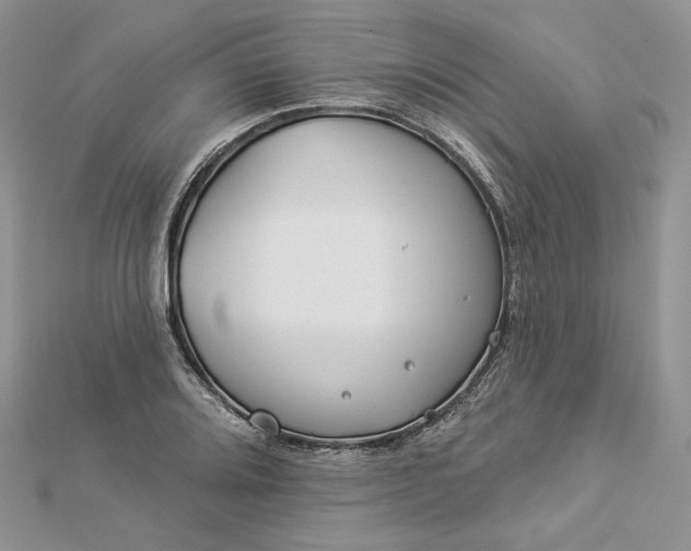 X0000112891080200909041657