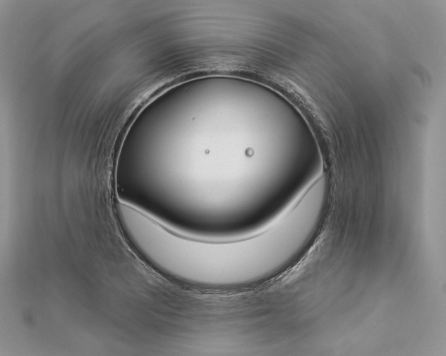 X0000112891081200909041657