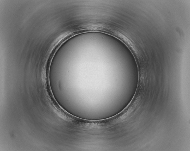 X0000112891082200909041657