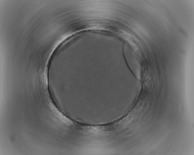 X0000112891084200909041657