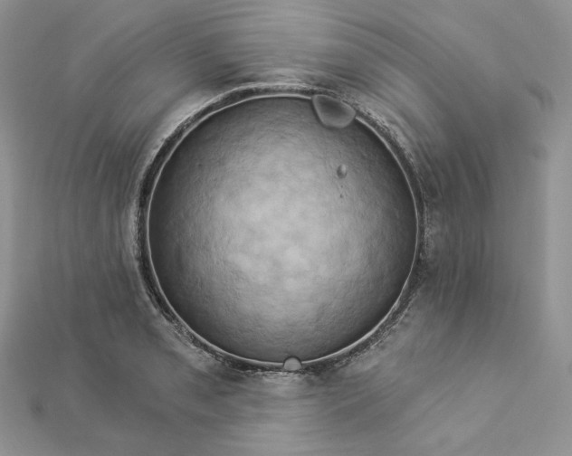 X0000112891085200909041657