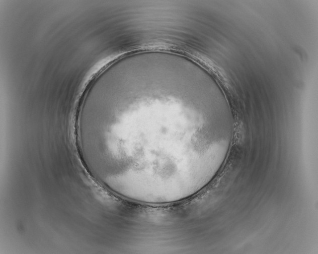 X0000112891086200909041657