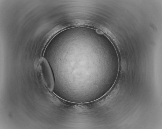 X0000112891089200909041657